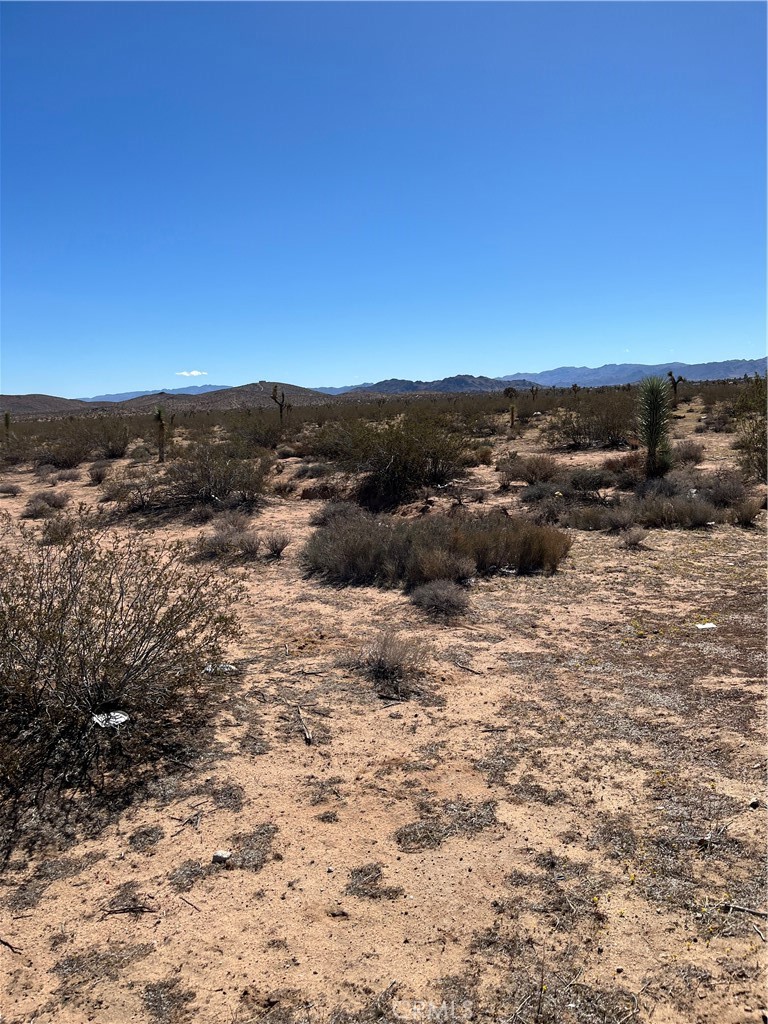 MLS #JT25240249 image #4