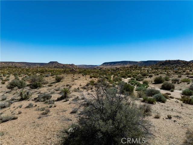 MLS #JT25242906 image #1