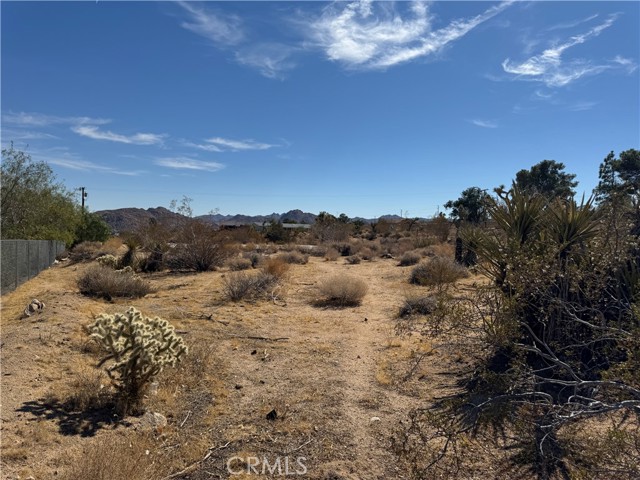 MLS #JT25245356 image #0