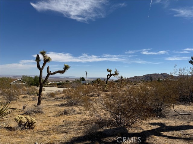 MLS #JT25245356 image #4