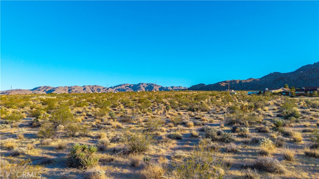 MLS #JT25246714 image #13