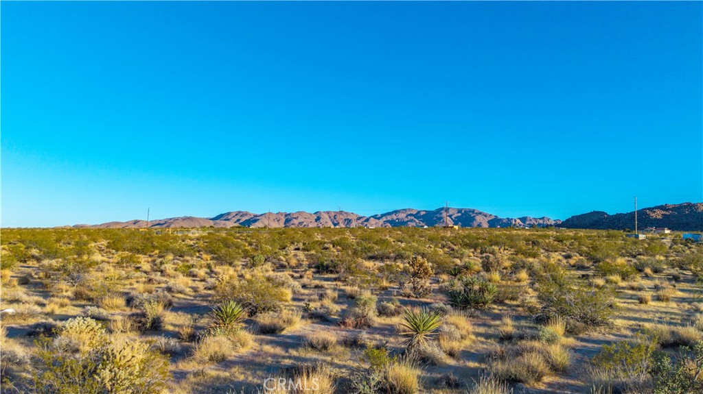 MLS #JT25246714 image #14