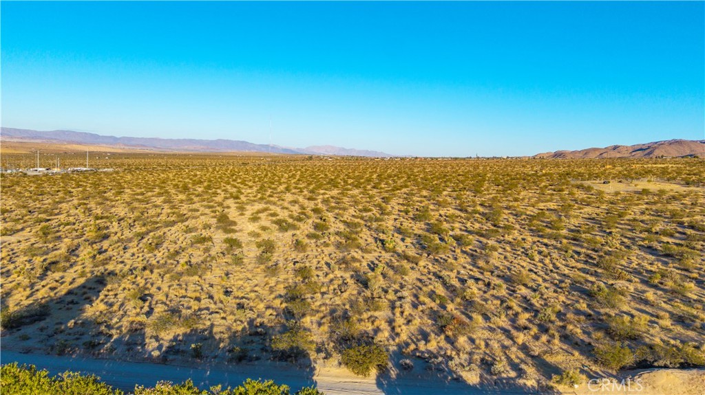 MLS #JT25246714 image #15