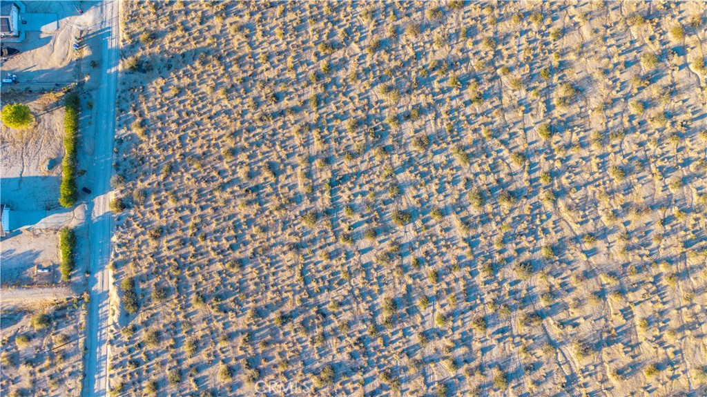 MLS #JT25246714 image #2