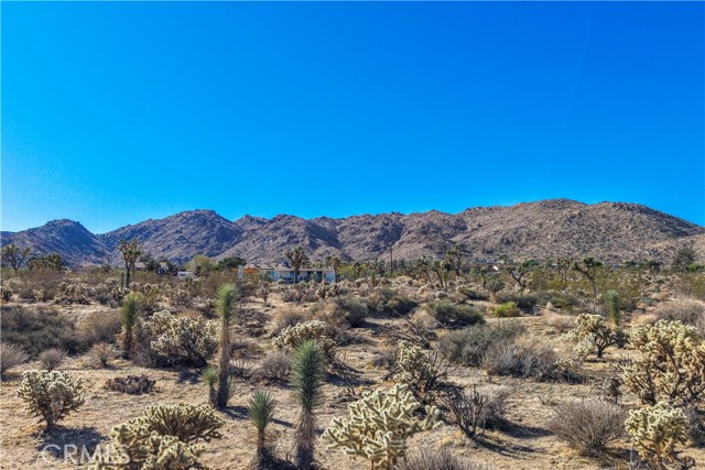 MLS #JT25246779 image #0