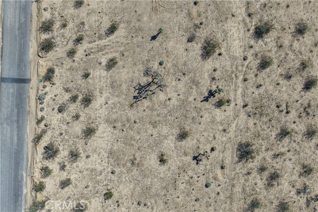 MLS #JT25246822 image #0