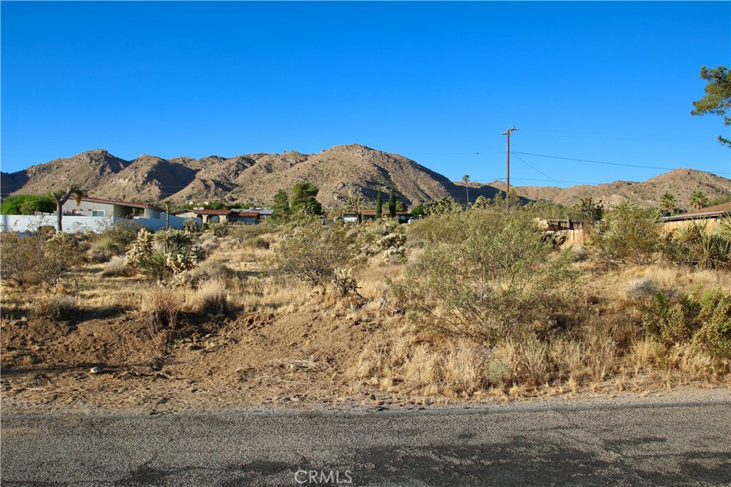 MLS #JT25246936 image #13