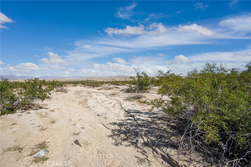 MLS #JT25255078 image #11