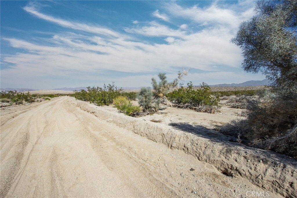 MLS #JT25255078 image #13