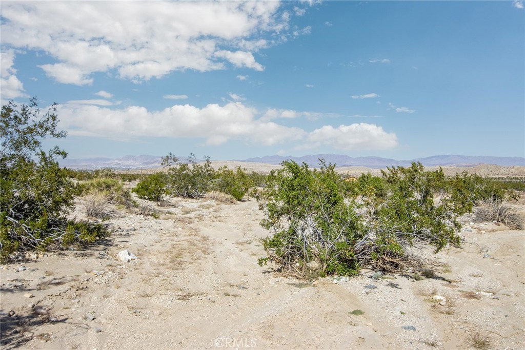 MLS #JT25255078 image #17