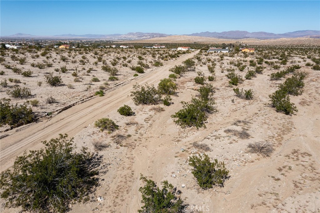 MLS #JT25255078 image #5