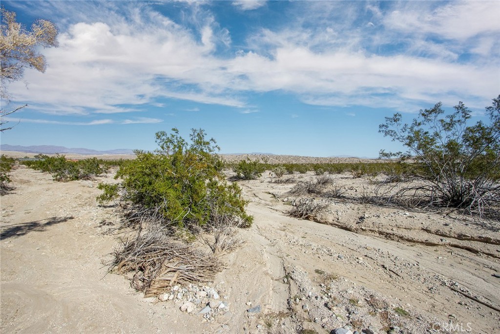 MLS #JT25255078 image #6