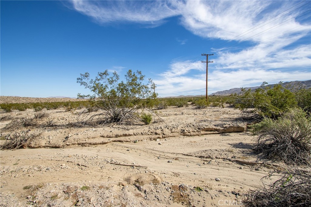 MLS #JT25255078 image #7