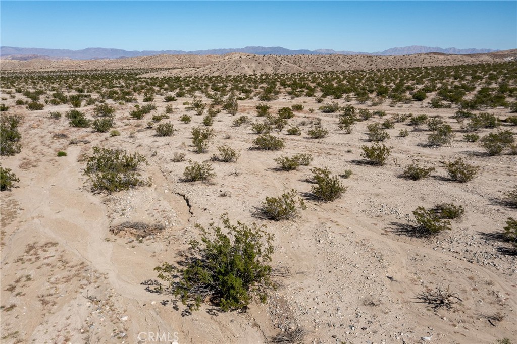 MLS #JT25255078 image #9