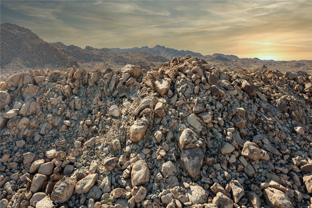 MLS #JT25257030 image #2