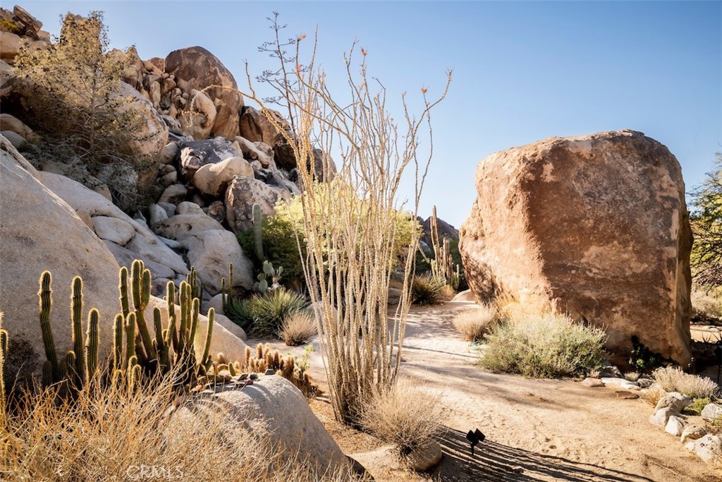 MLS #JT25257030 image #24