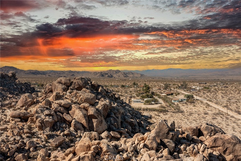 MLS #JT25257030 image #37