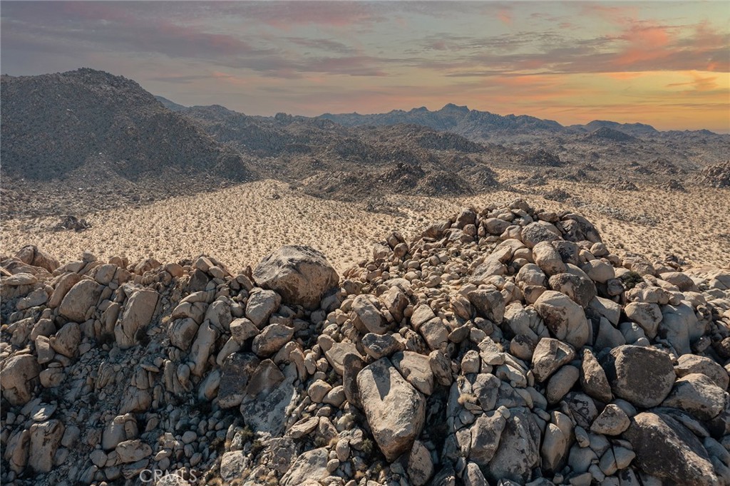 MLS #JT25257030 image #4