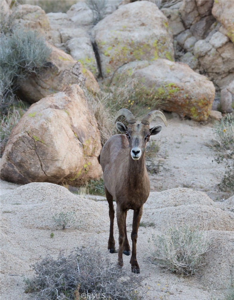 MLS #JT25257030 image #46