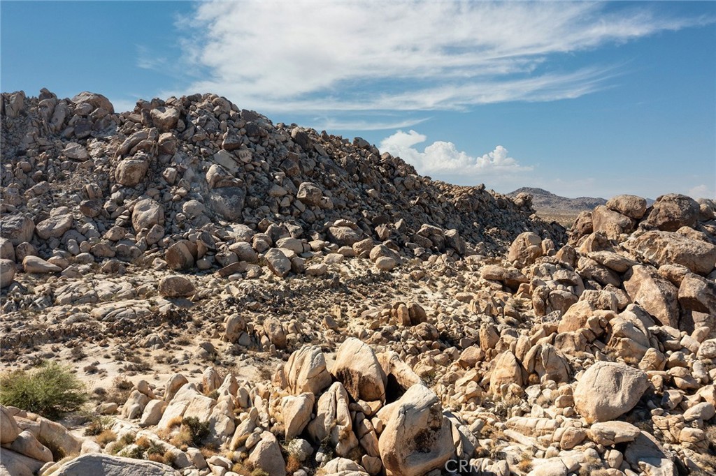 MLS #JT25257030 image #50