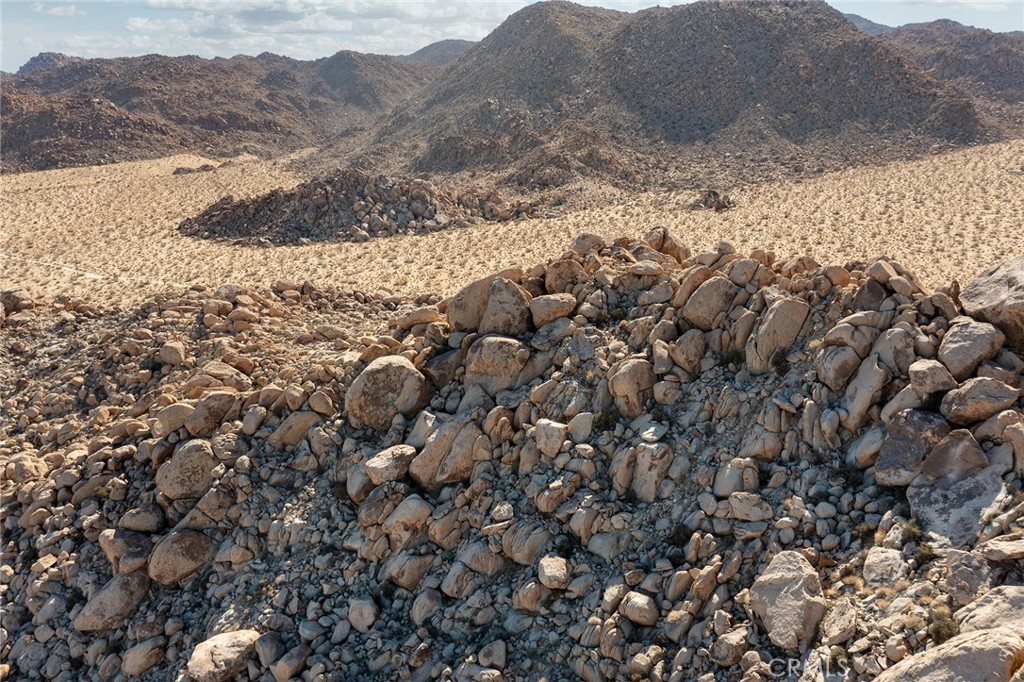 MLS #JT25257030 image #7