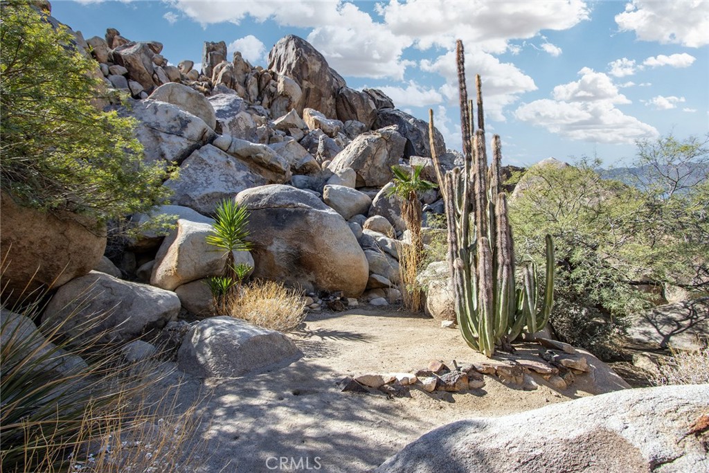 MLS #JT25257030 image #9