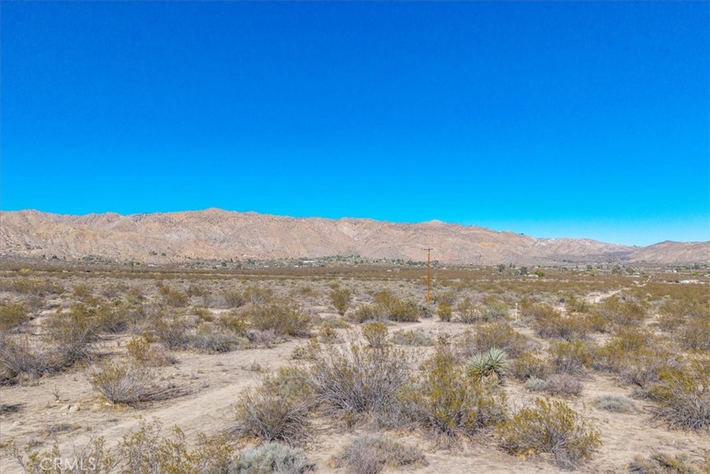 MLS #JT25257903 image #11