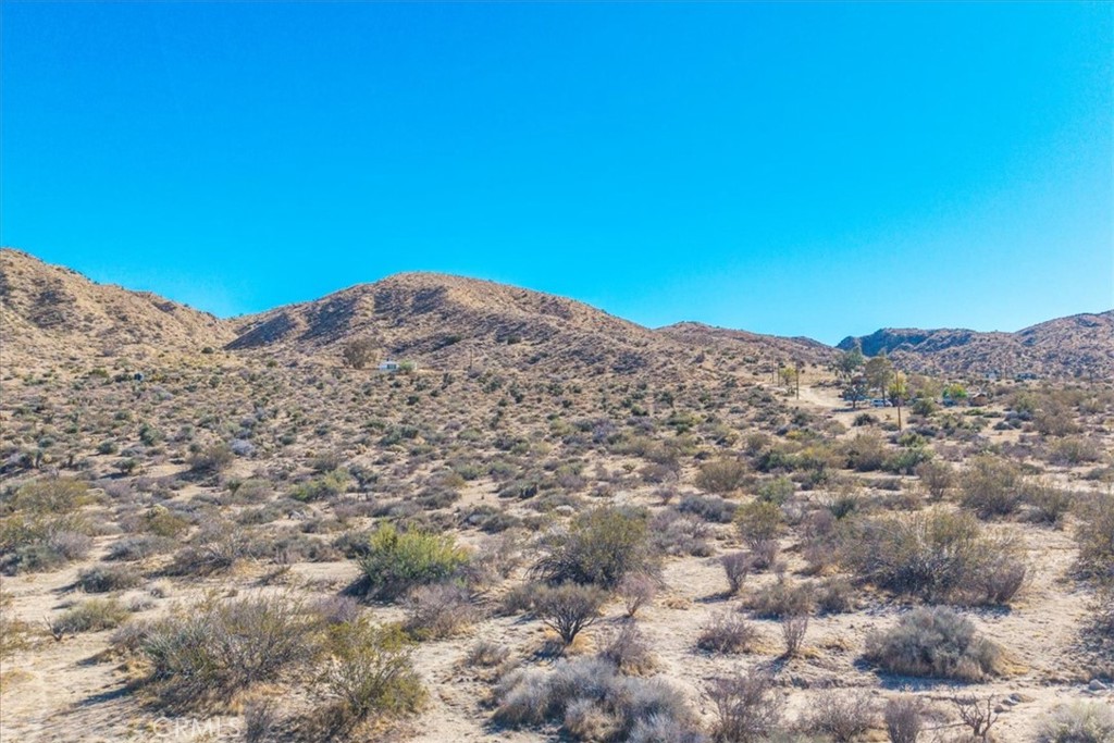 MLS #JT25257903 image #12