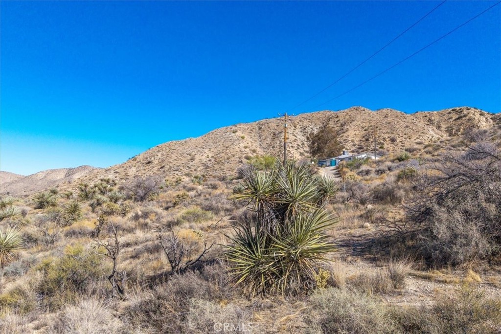 MLS #JT25257903 image #15