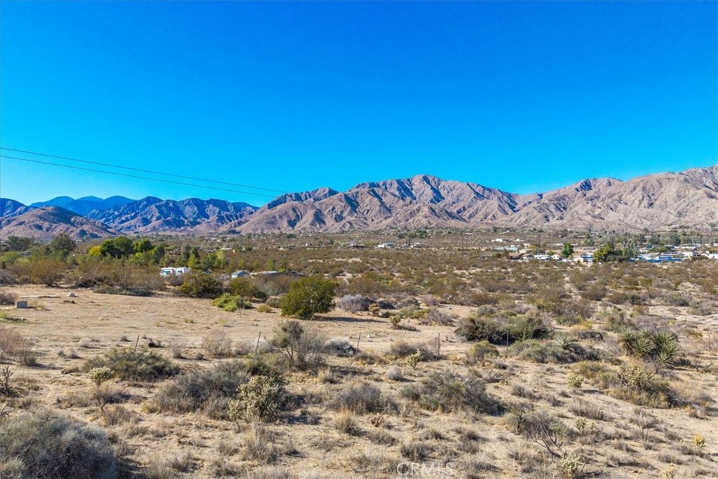 MLS #JT25257903 image #17