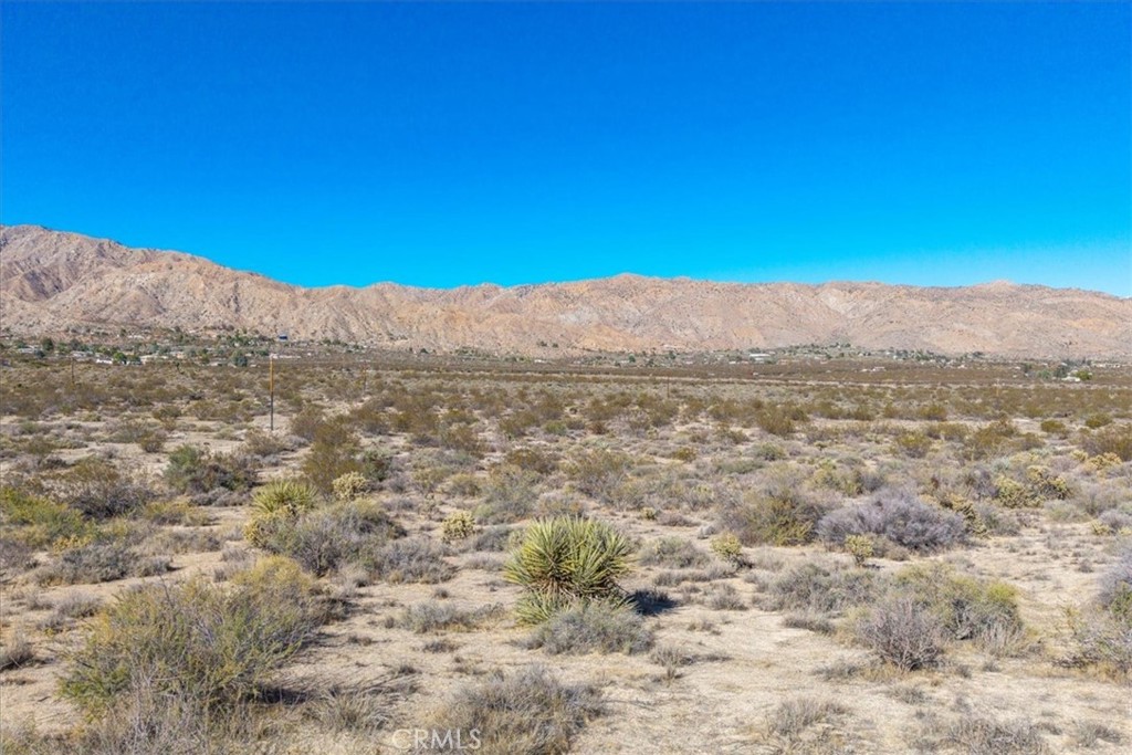 MLS #JT25257903 image #18