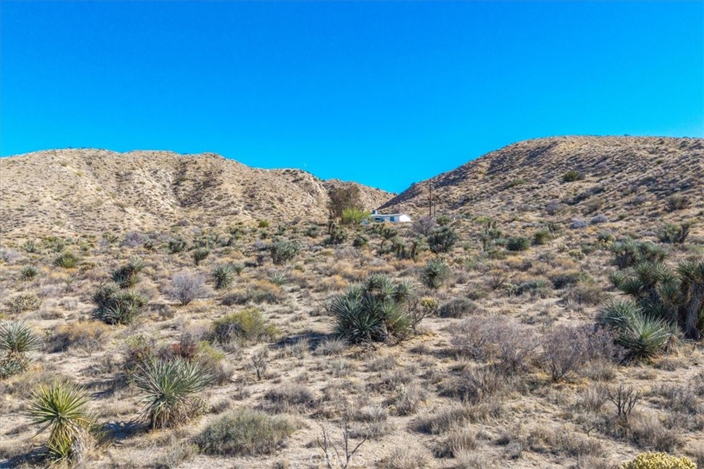 MLS #JT25257903 image #19