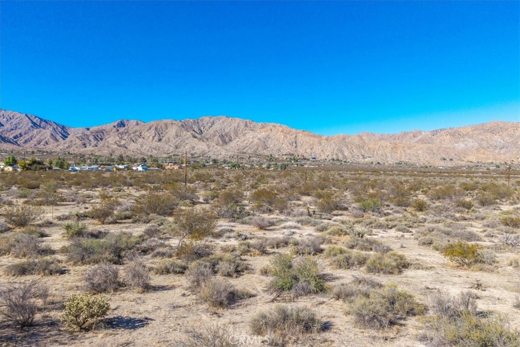 MLS #JT25257903 image #20