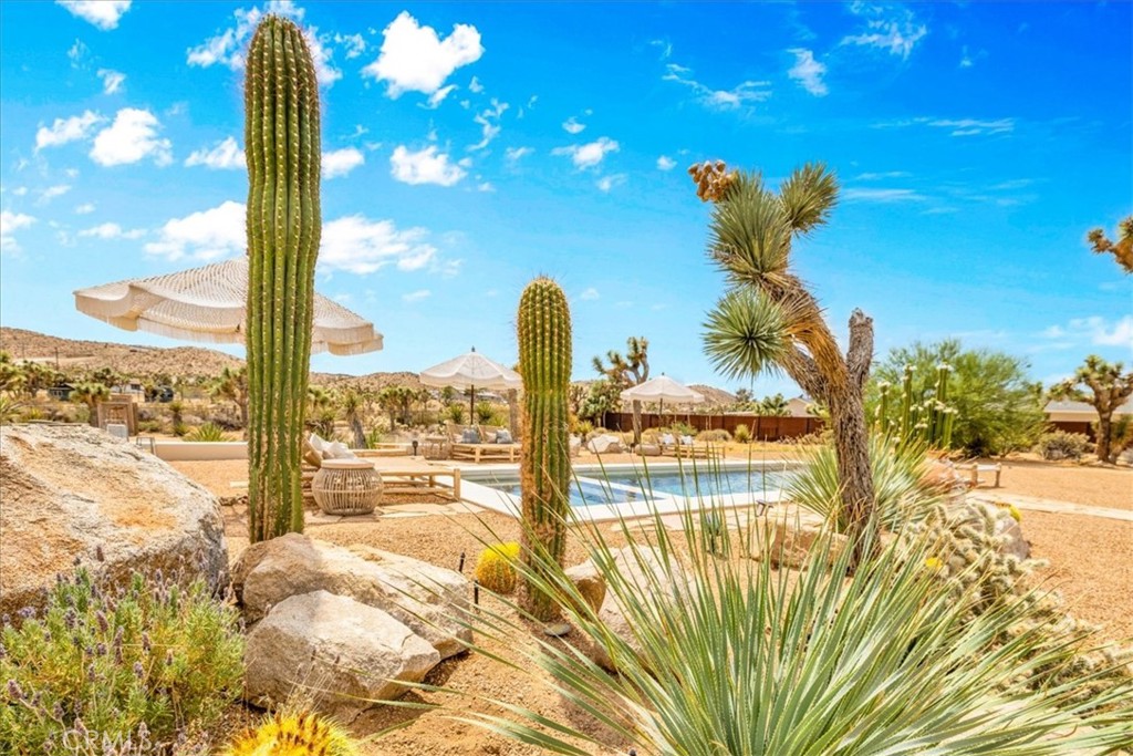 MLS #JT25259946 image #59