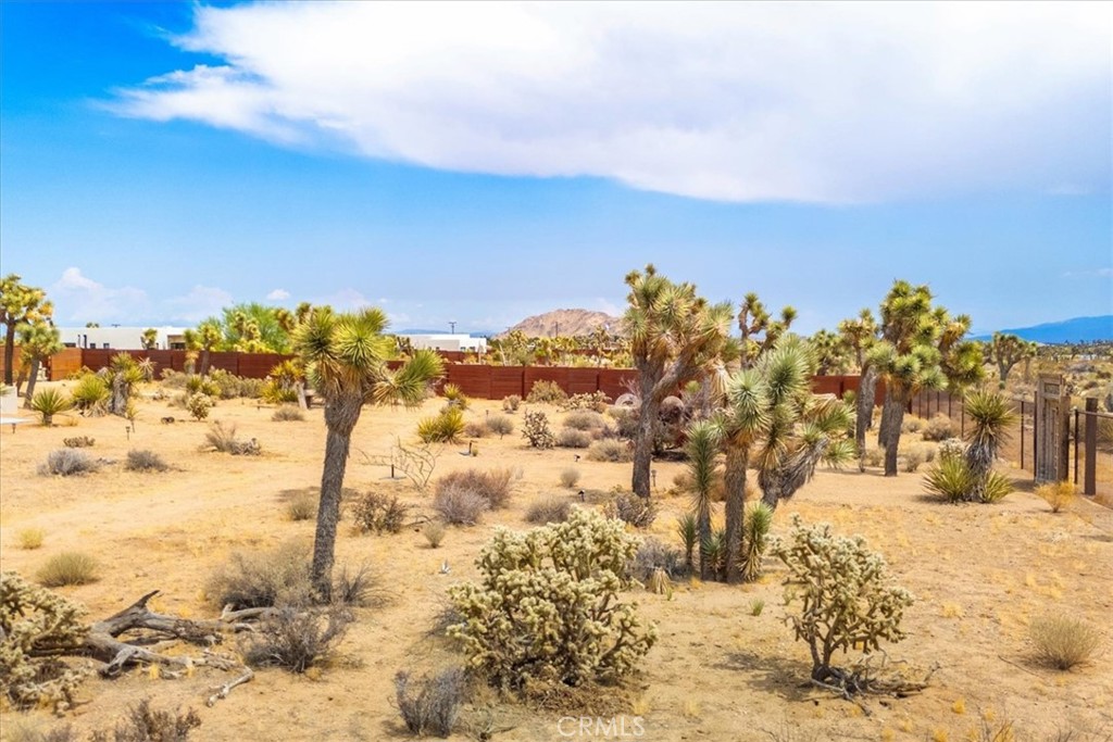 MLS #JT25259946 image #72