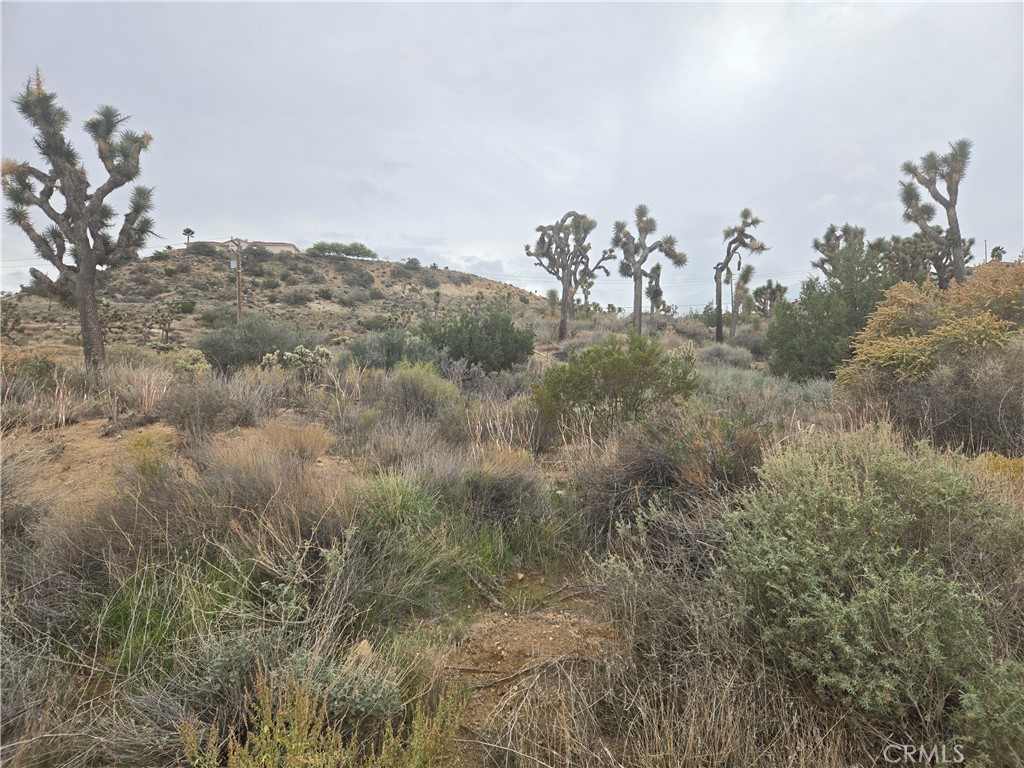 MLS #JT25260776 image #1