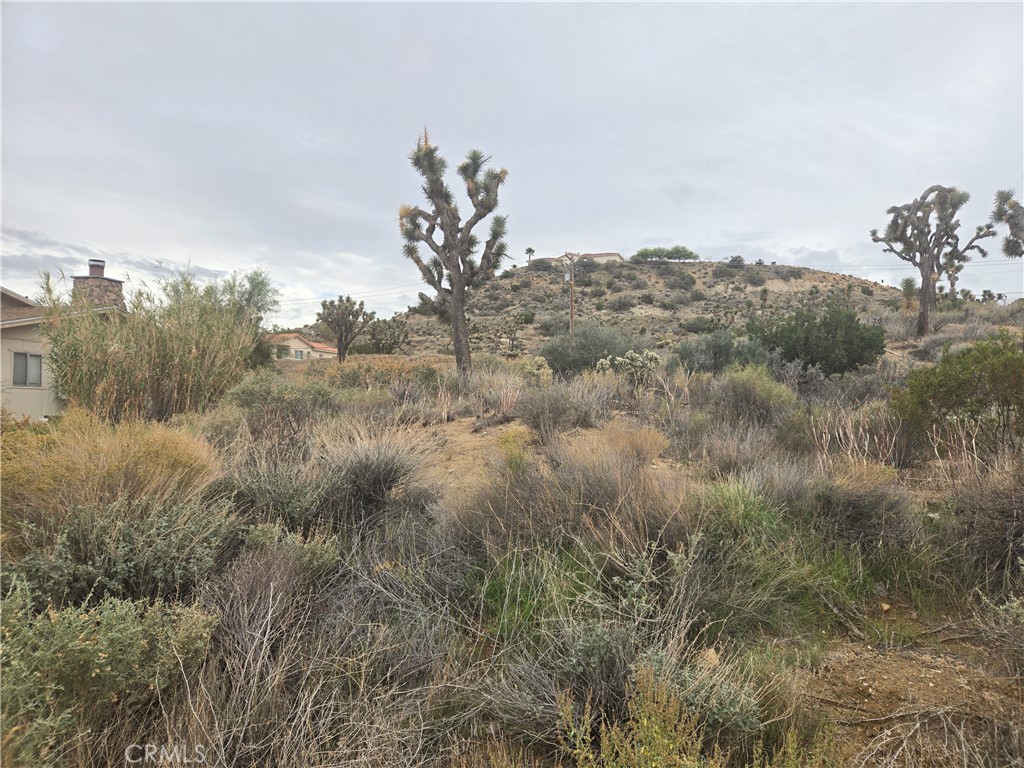 MLS #JT25260776 image #2