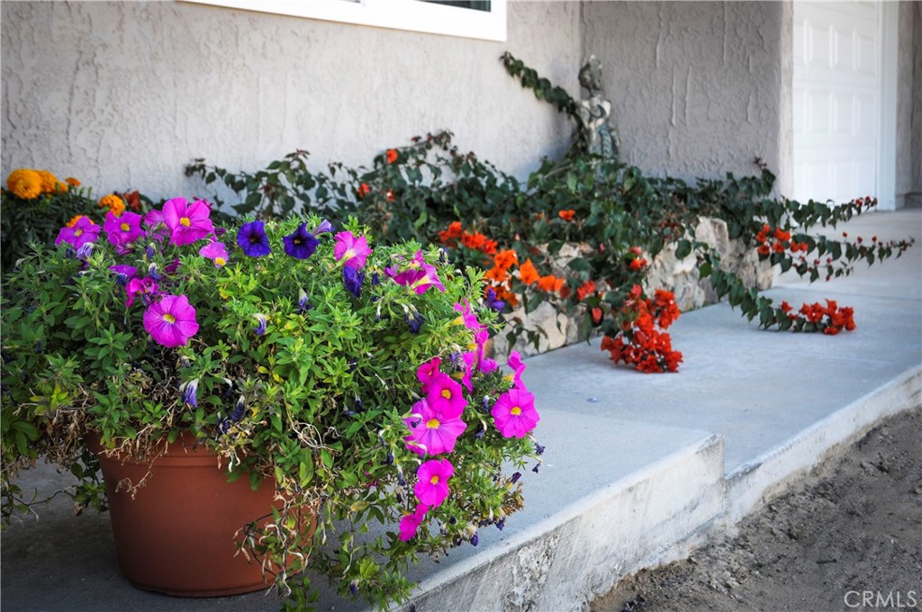 MLS #JT25262217 image #3