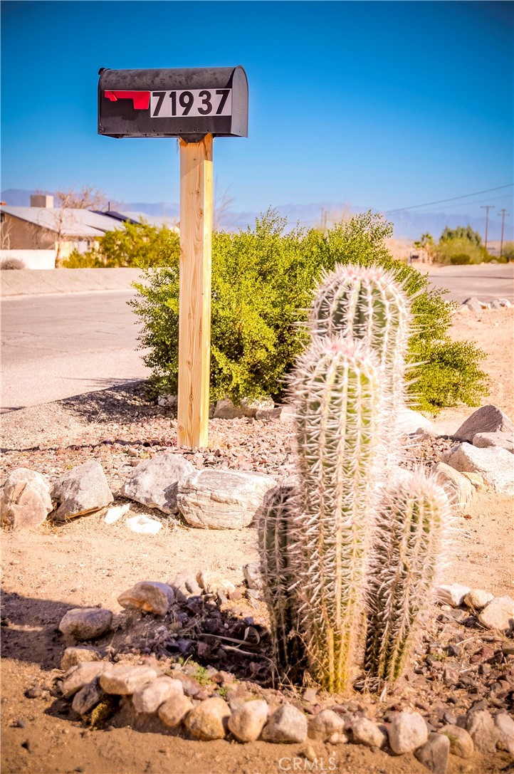 MLS #JT25262217 image #36