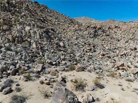 MLS #JT25262958 image #3