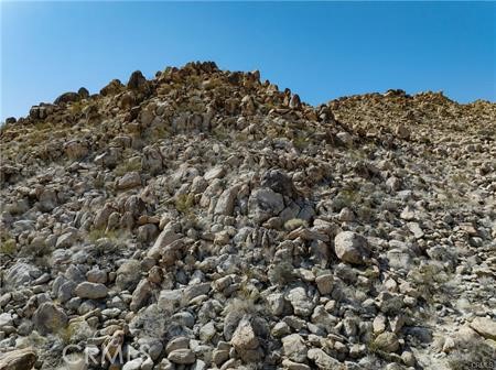 MLS #JT25262958 image #5