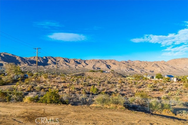 MLS #JT25263097 image #12