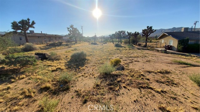 MLS #JT25264232 image #2