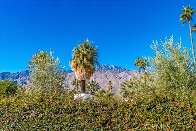 MLS #JT25265793 image #49