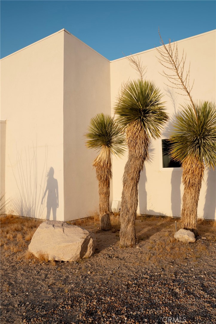 MLS #JT25267732 image #14