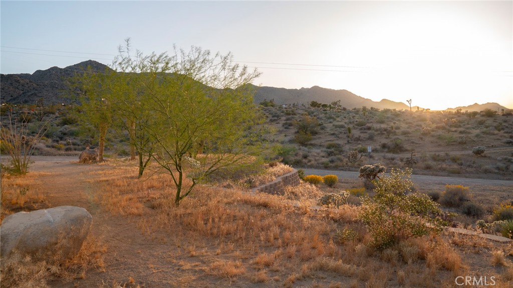 MLS #JT25267732 image #15