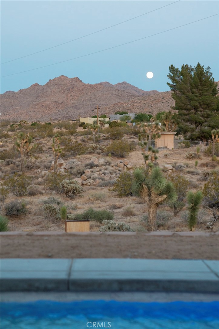 MLS #JT25267732 image #23