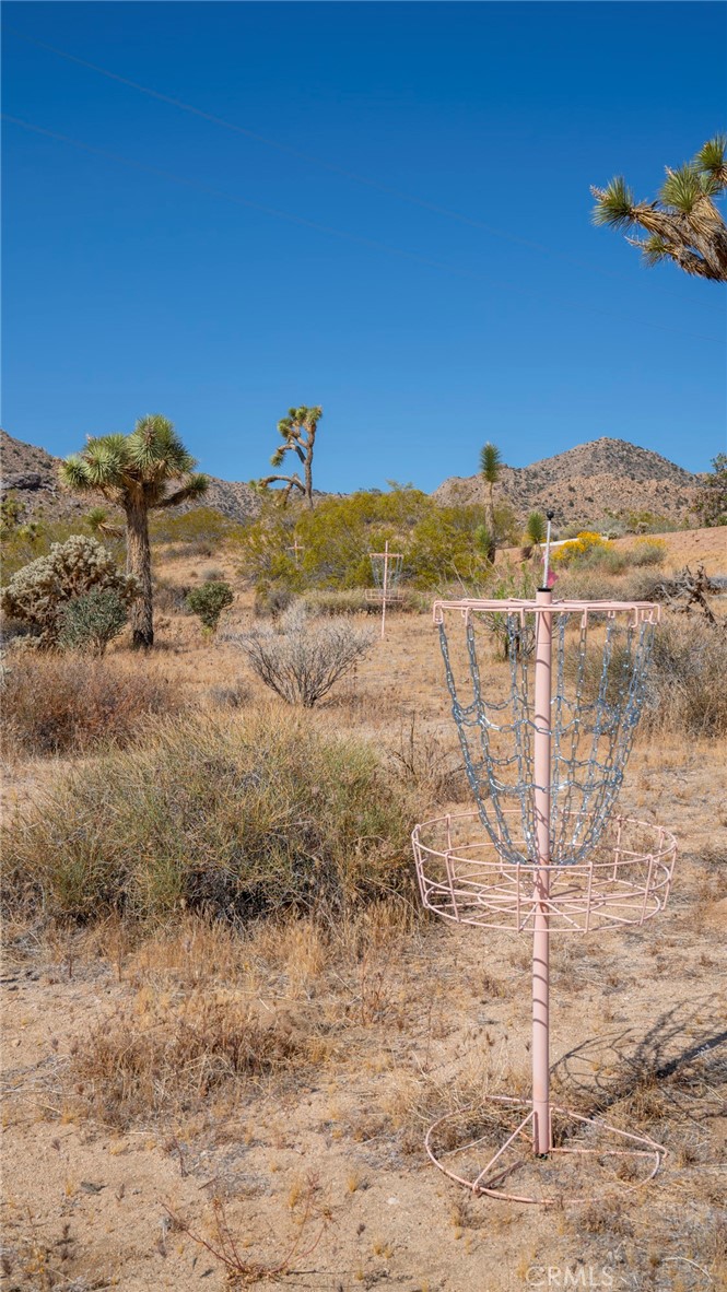 MLS #JT25267732 image #33