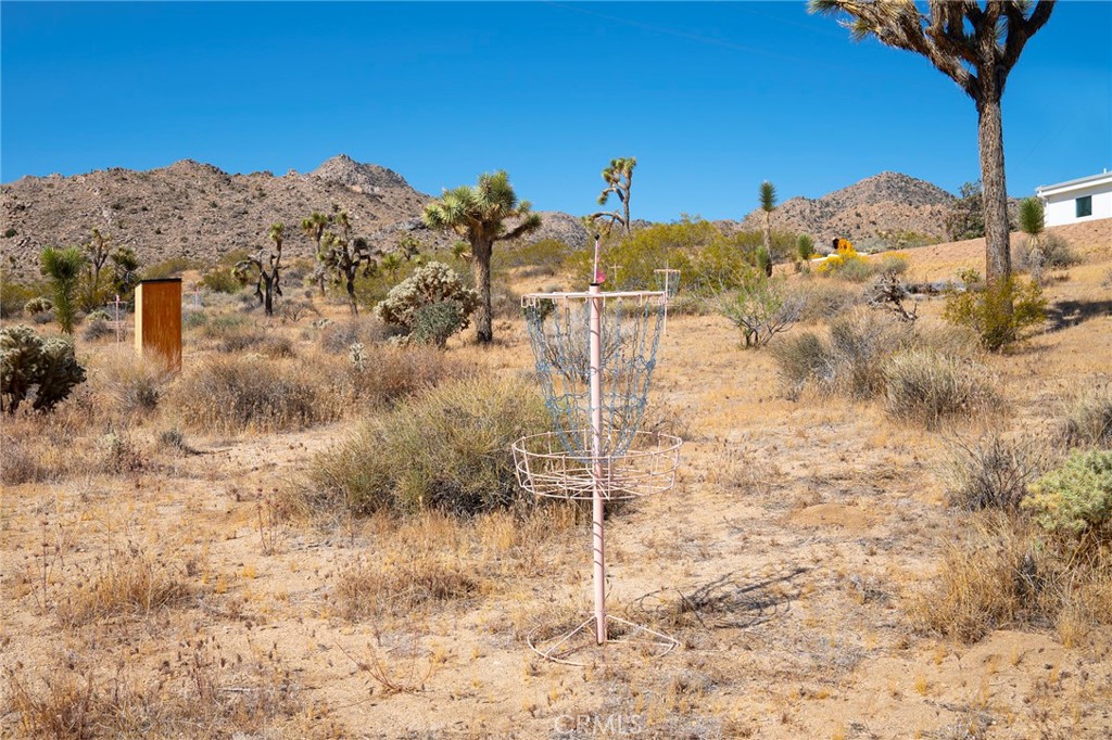 MLS #JT25267732 image #34