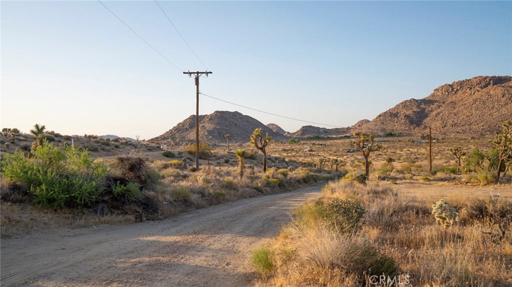 MLS #JT25267732 image #7